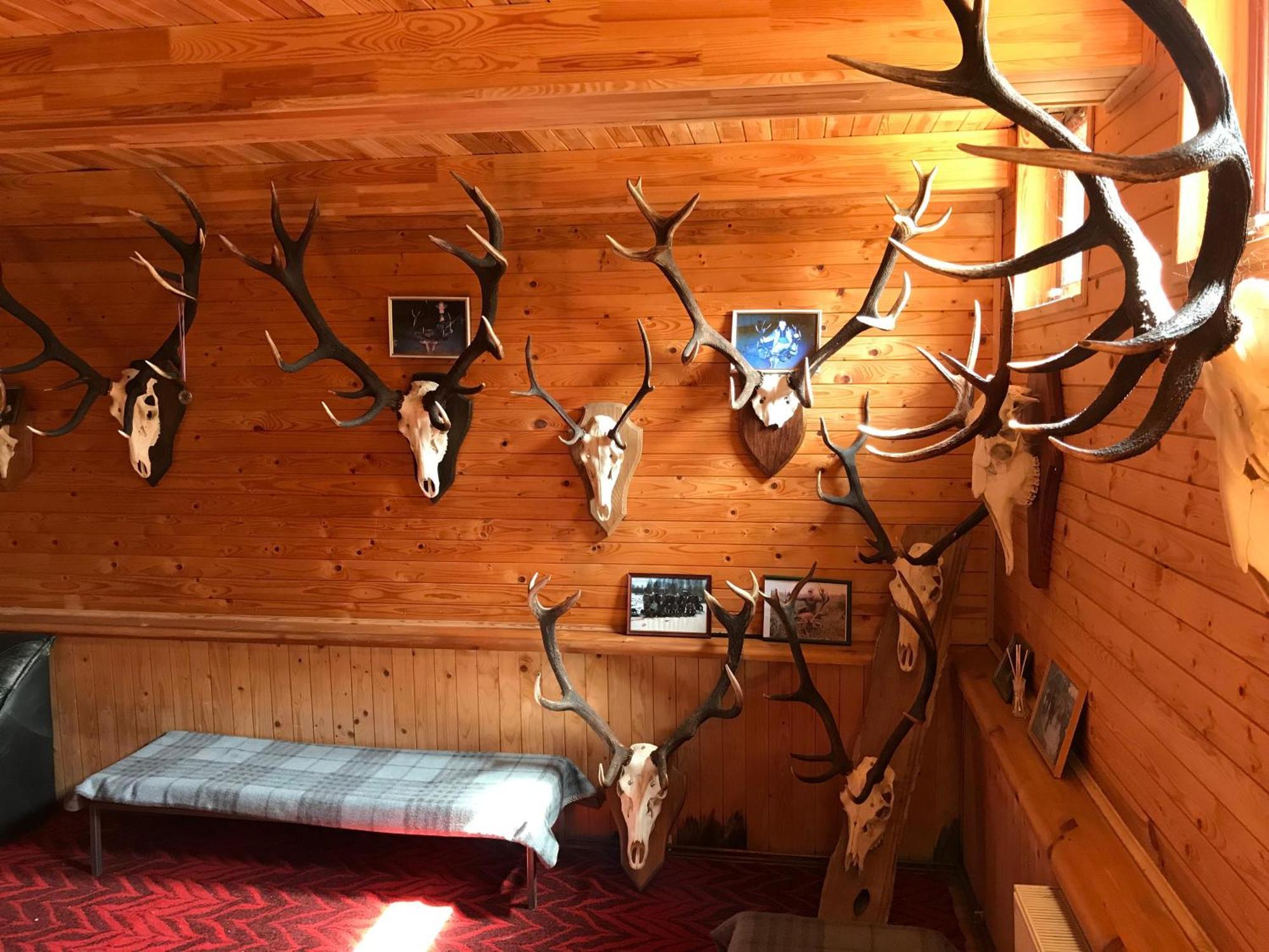 Pilskalni Hotel Ivande Kültér fotó
